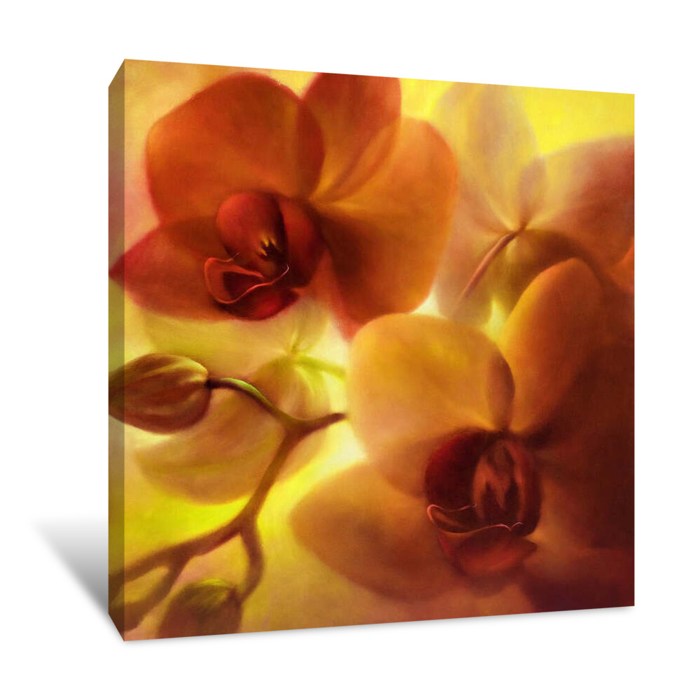 Pink Orchids in the Golden Light Canvas Wrap
