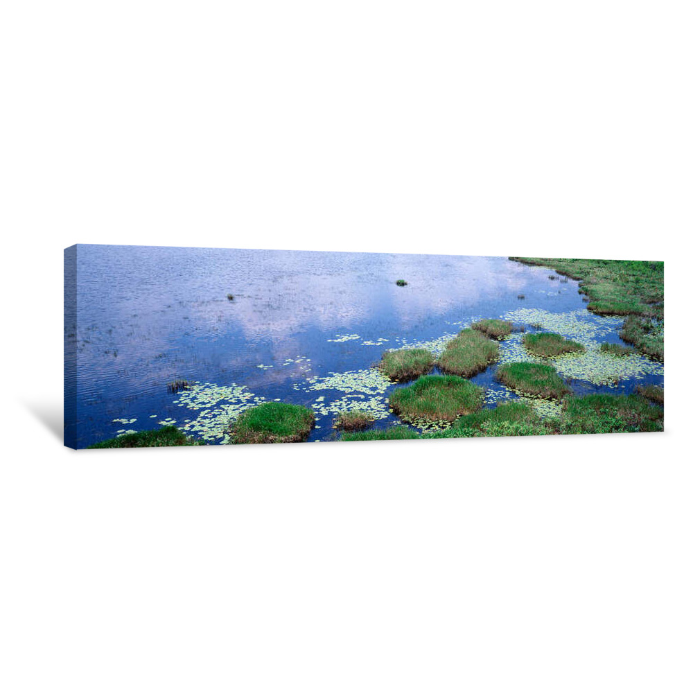 Reflection Of Clouds In Water, Suwannee Canal, Okefenokee National Wildlife Refuge, Georgia, USA Canvas Wrap