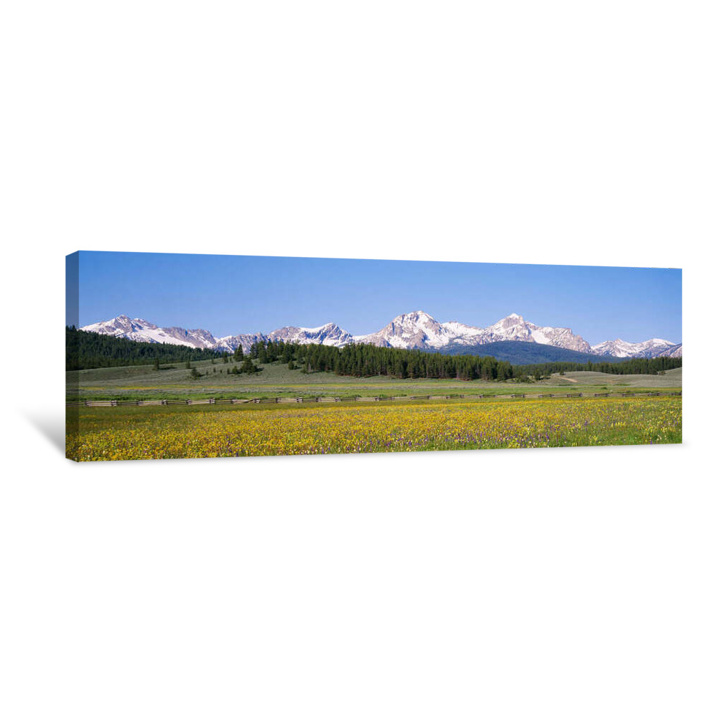 Flowers In A Field With A Mountain In The Background, Sawtooth Mountains, Sawtooth National Recreation Area, Stanley, Idaho, USA Canvas Wrap