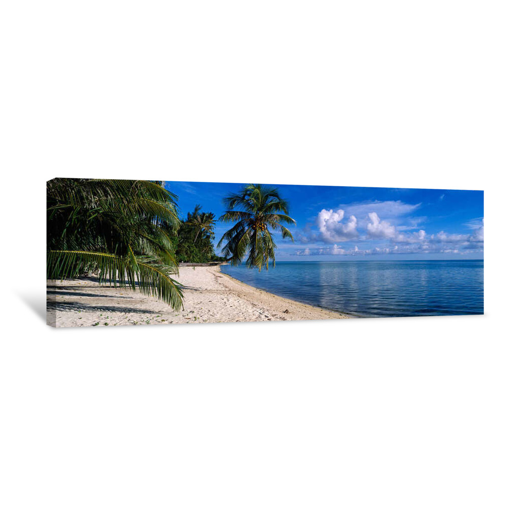 Palm Trees On The Beach, Matira Beach, Bora Bora, French Polynesia Canvas Wrap
