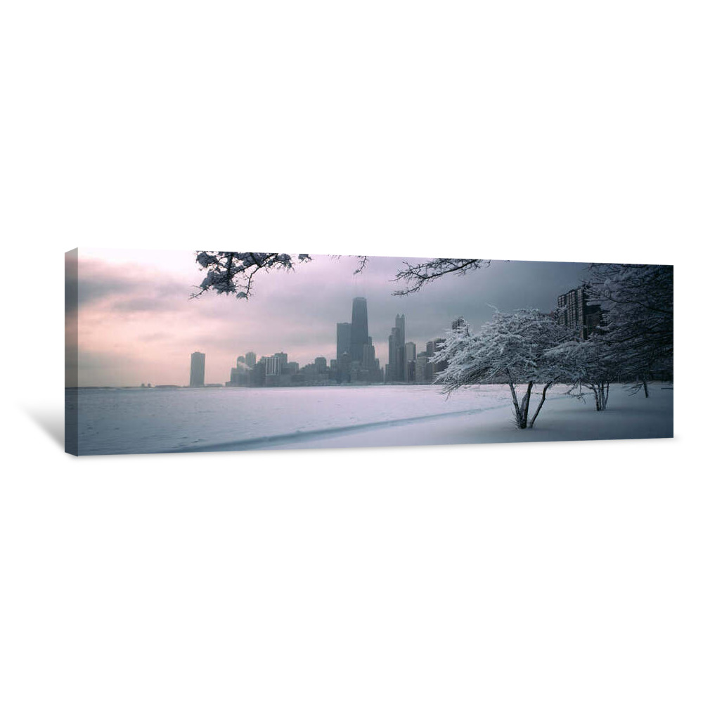 Snow Covered Tree On The Beach With A City In The Background, North Avenue Beach, Chicago, Illinois, USA Canvas Wrap