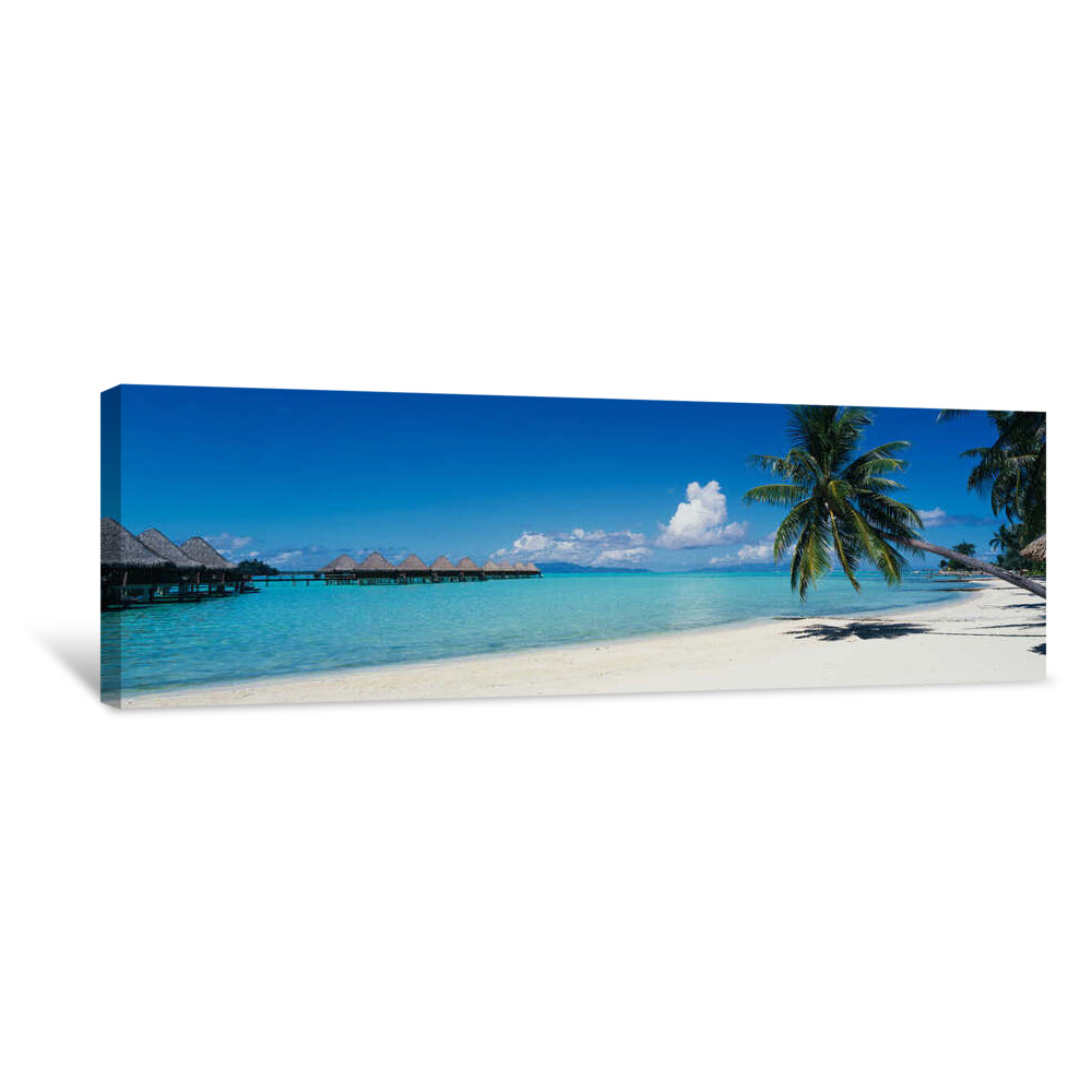 Palm Tree On The Beach, Moana Beach, Bora Bora, Tahiti, French Polynesia Canvas Wrap
