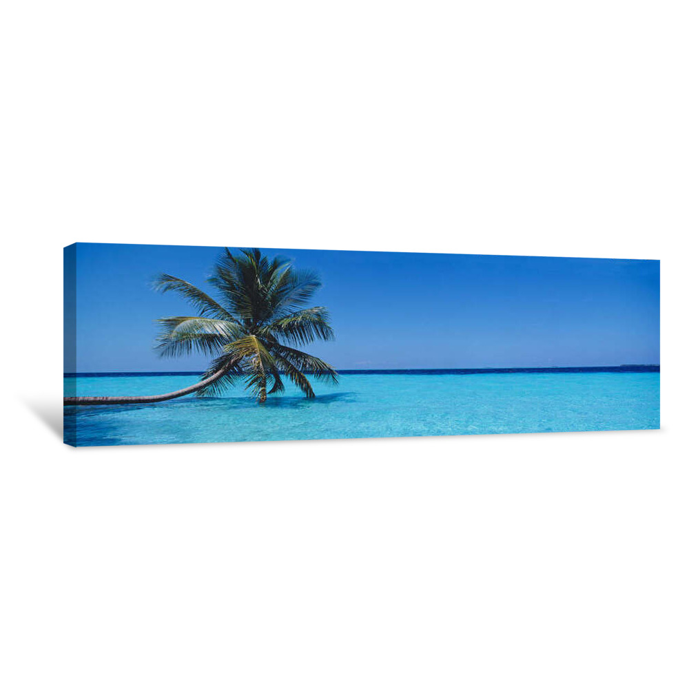 Palm Tree In The Sea, Maldives Canvas Wrap