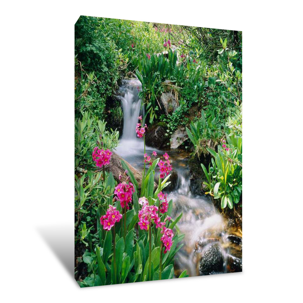 Waterfall CO USA Canvas Wrap