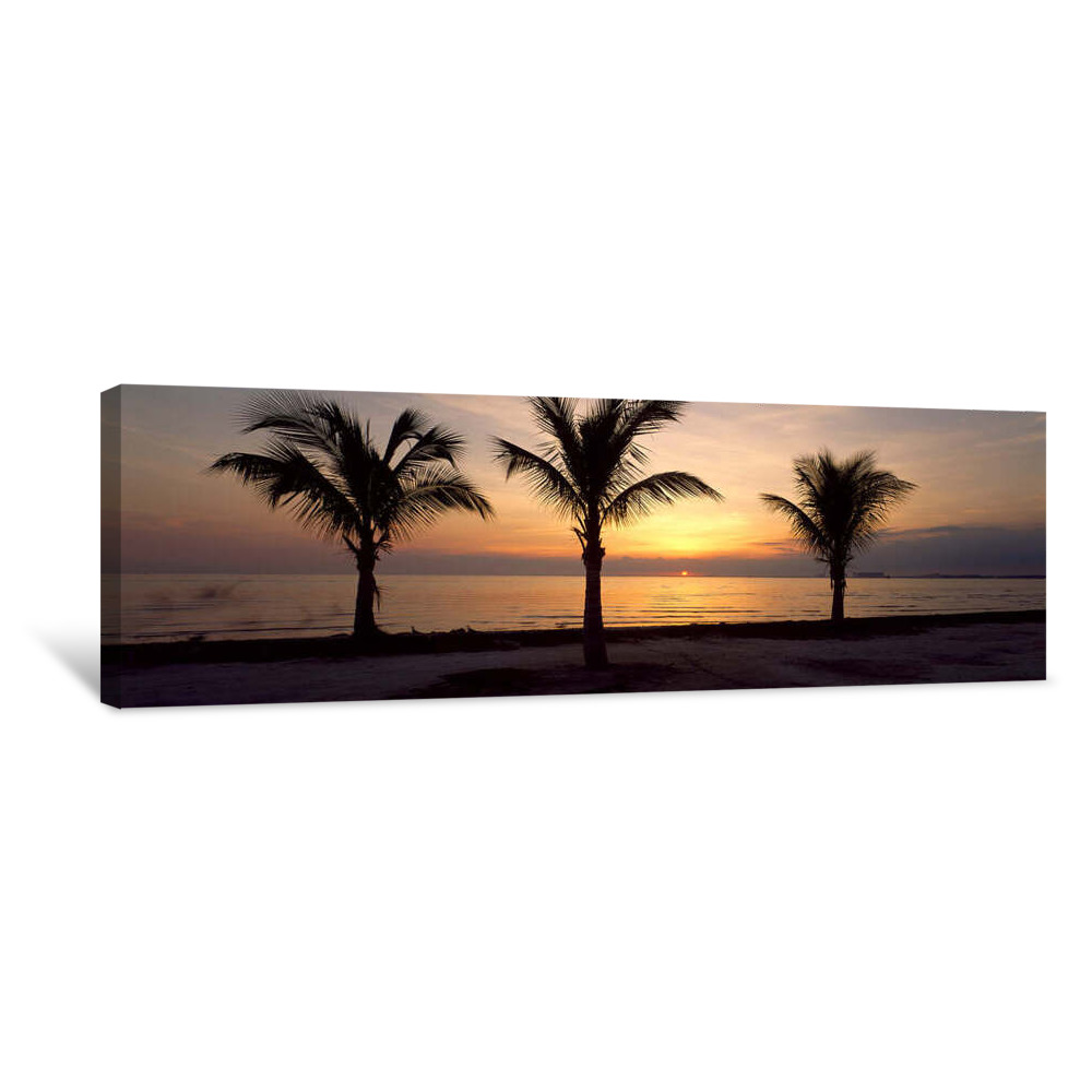 Palm Trees On The Beach At Dusk, Miami, Miami-Dade County, Florida, USA Canvas Wrap