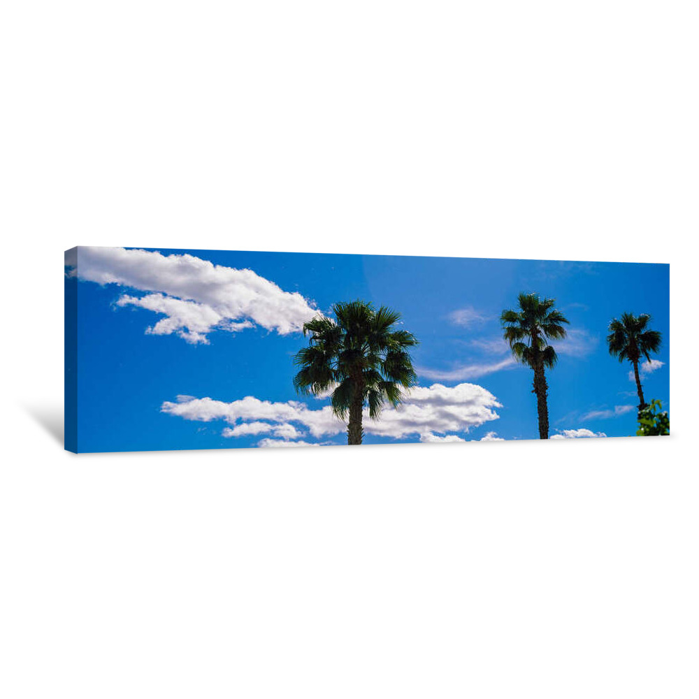 Low Angle View Of Palm Trees Canvas Wrap