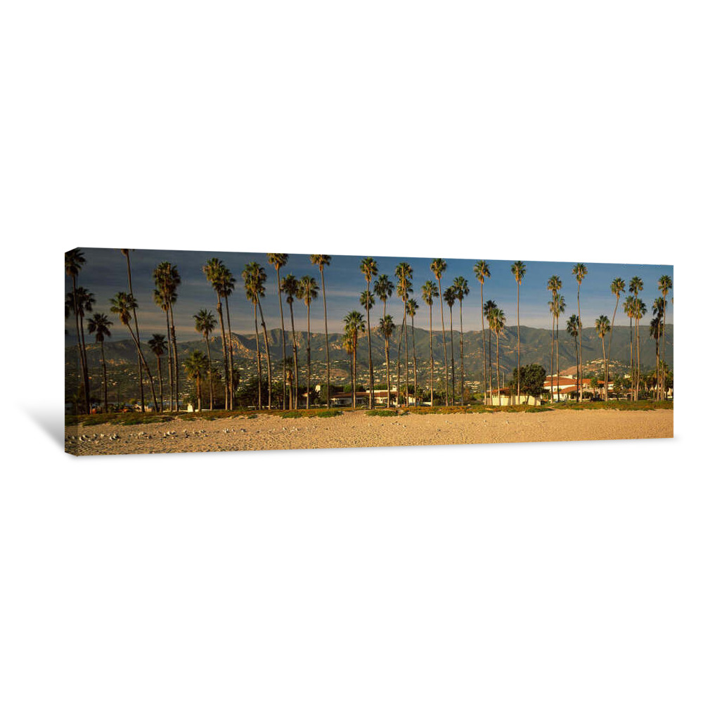 Palm Trees On The Beach, Santa Barbara, California, USA Canvas Wrap