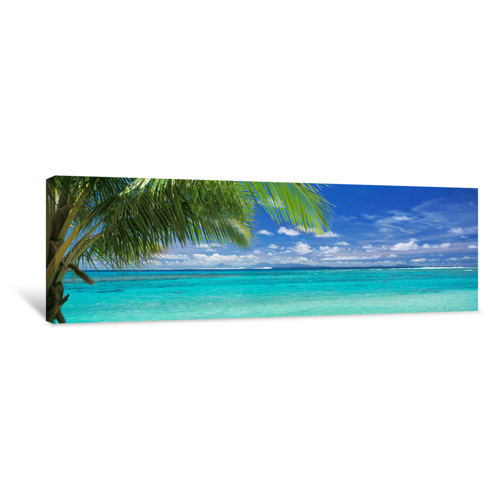 Palm Tree On The Beach, Huahine Island, Society Islands, French Polynesia Canvas Wrap