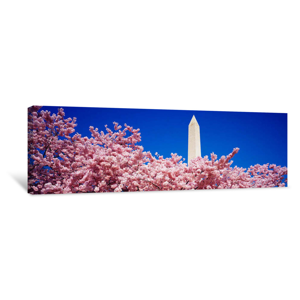 Washington Monument Washington DC Canvas Wrap