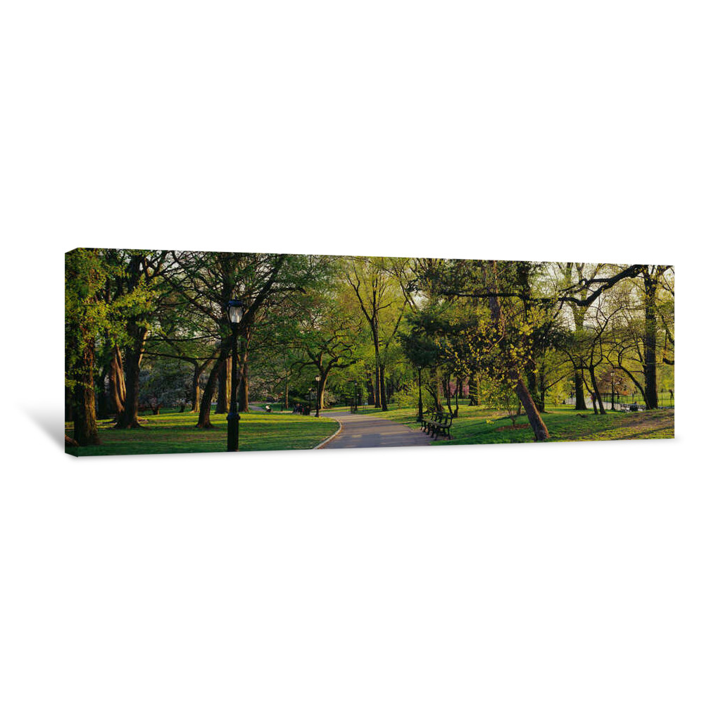 Trees In A Park, Central Park, NYC, New York City, New York State, USA Canvas Wrap