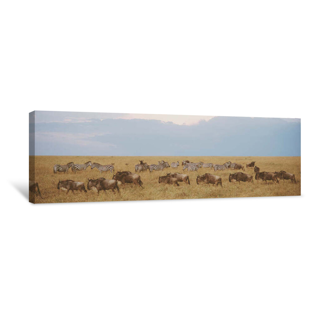 Wildebeests And Zebras, Maasai Mara, Kenya, Africa Canvas Wrap