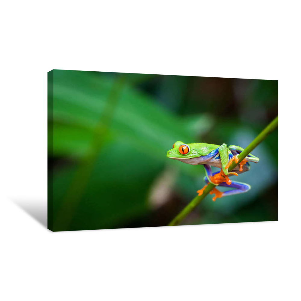 Hanging On Canvas Wrap