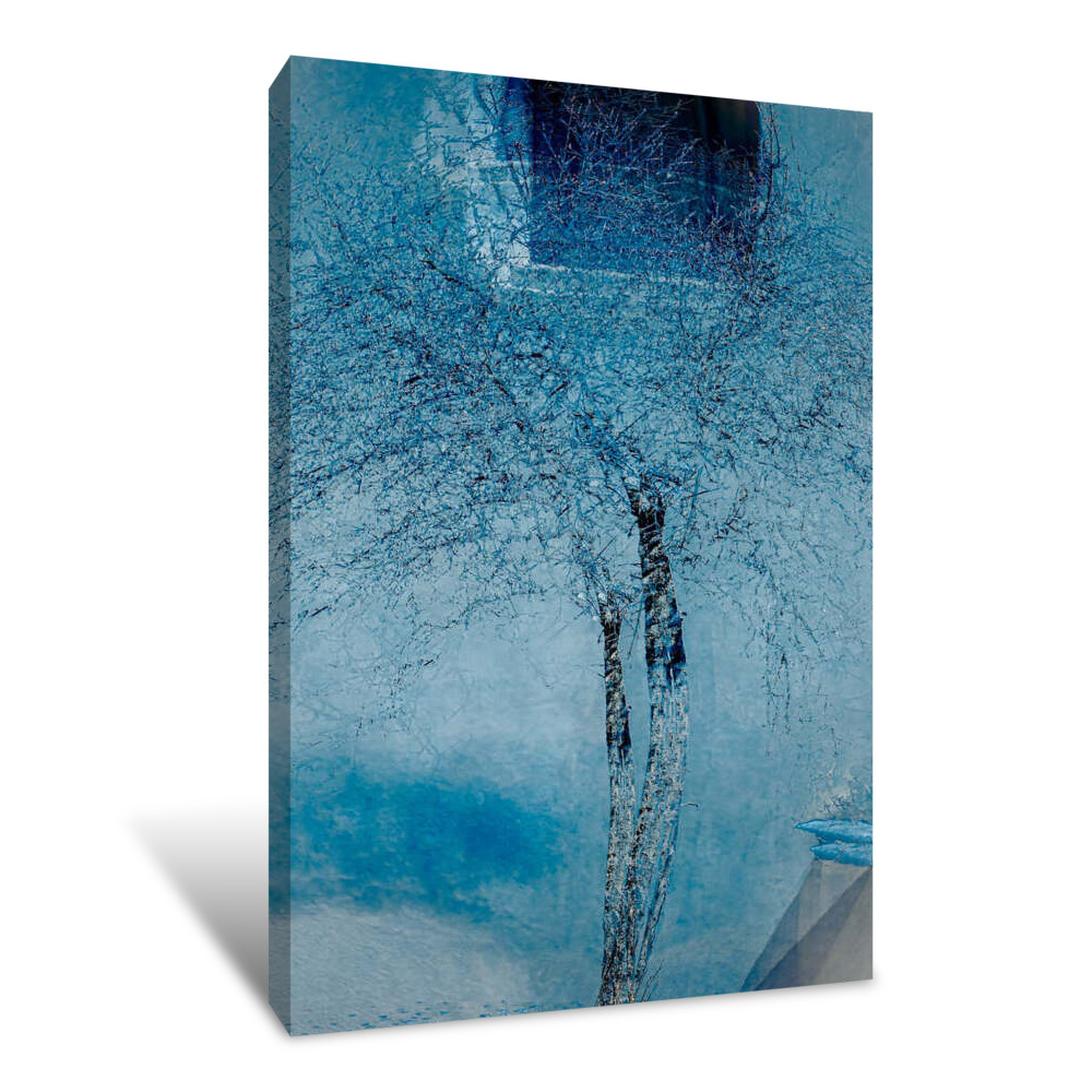 The Trees of Life III Canvas Wrap