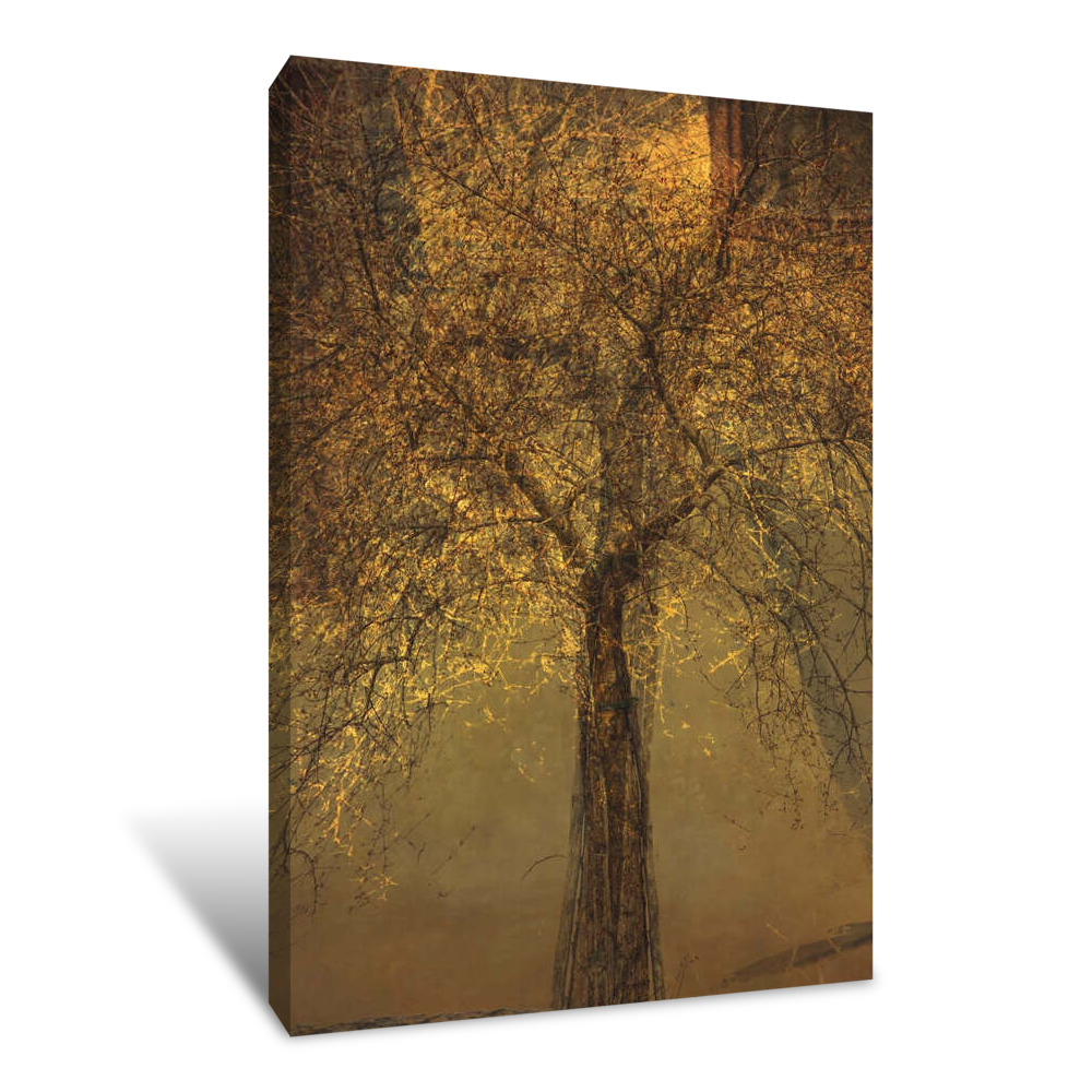 The Trees of Life VI Canvas Wrap