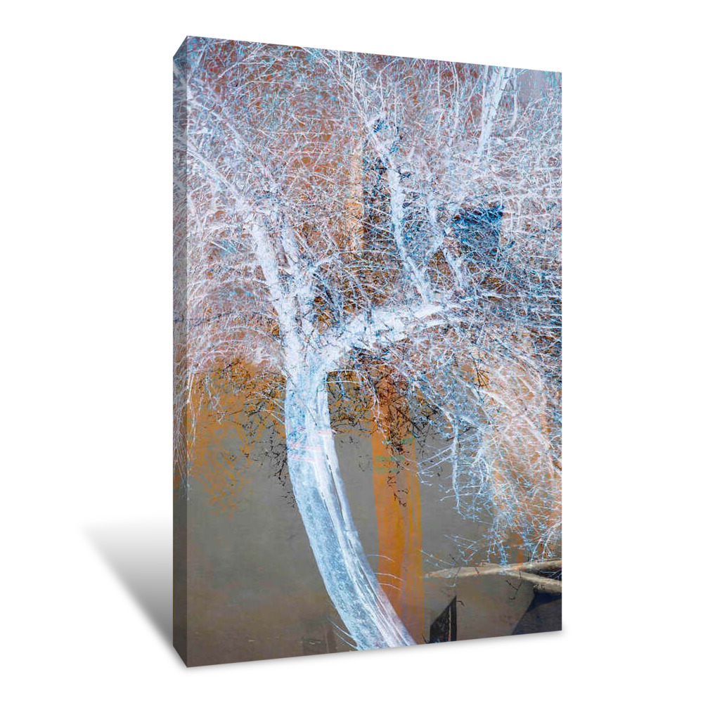 The Trees of Life VII Canvas Wrap