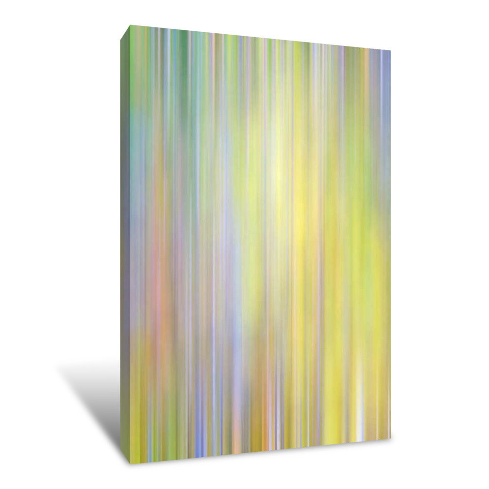 Spring Zing Canvas Wrap