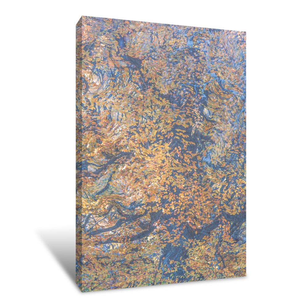 Monet's Oak Canvas Wrap