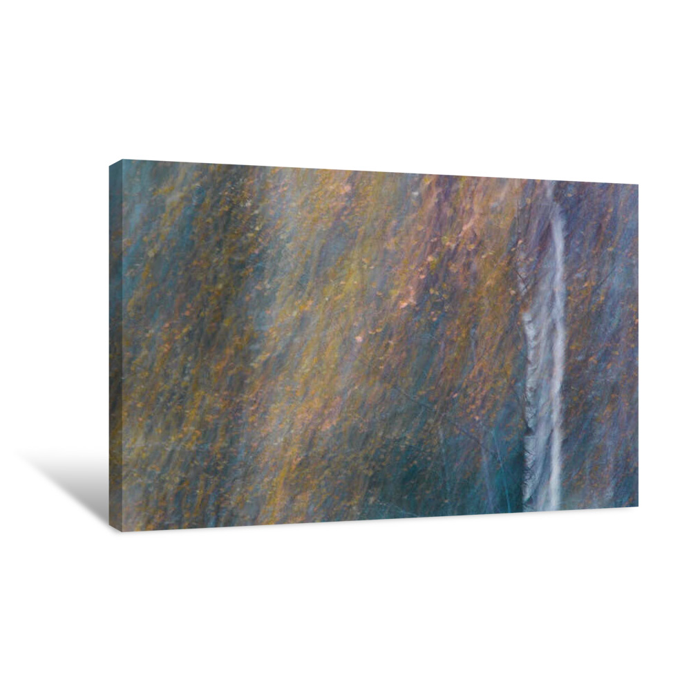 Silence of the Fall Canvas Wrap