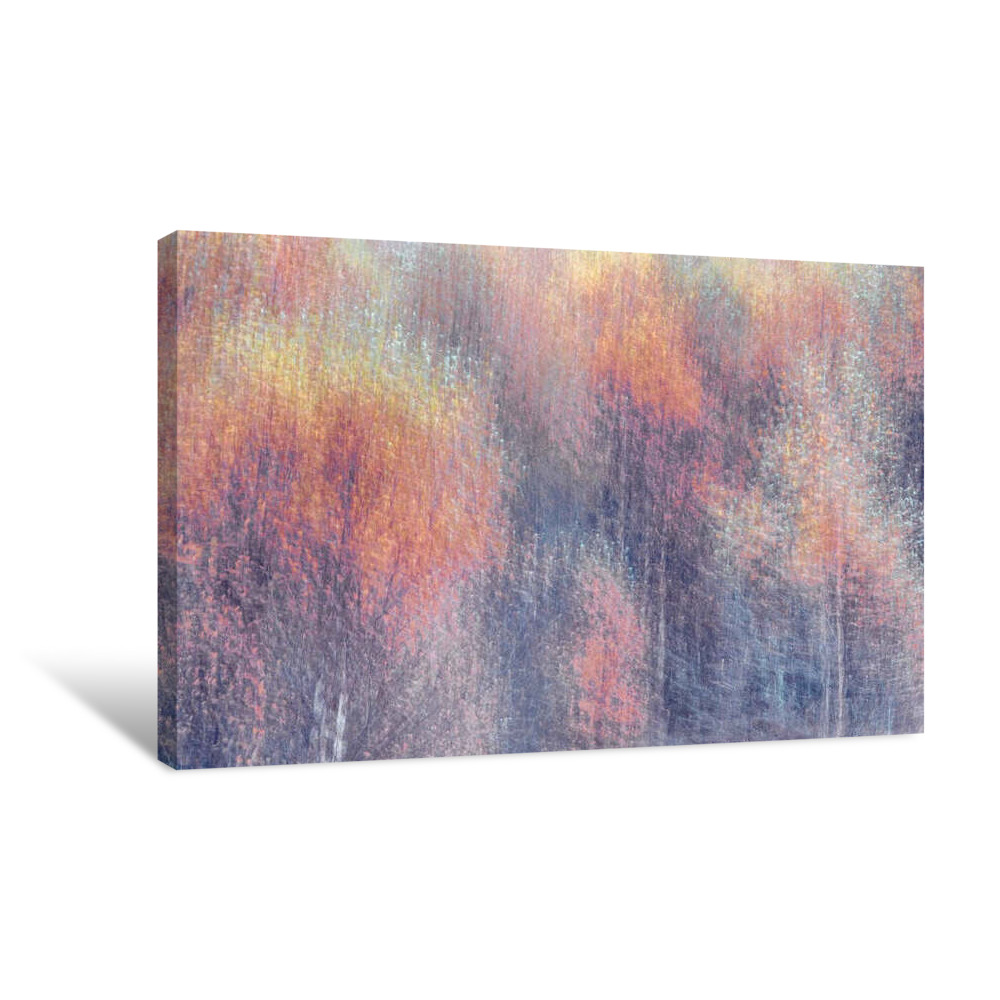 Frosted Fall Canvas Wrap