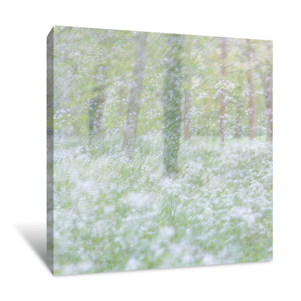 Spring Innocence Canvas Wrap