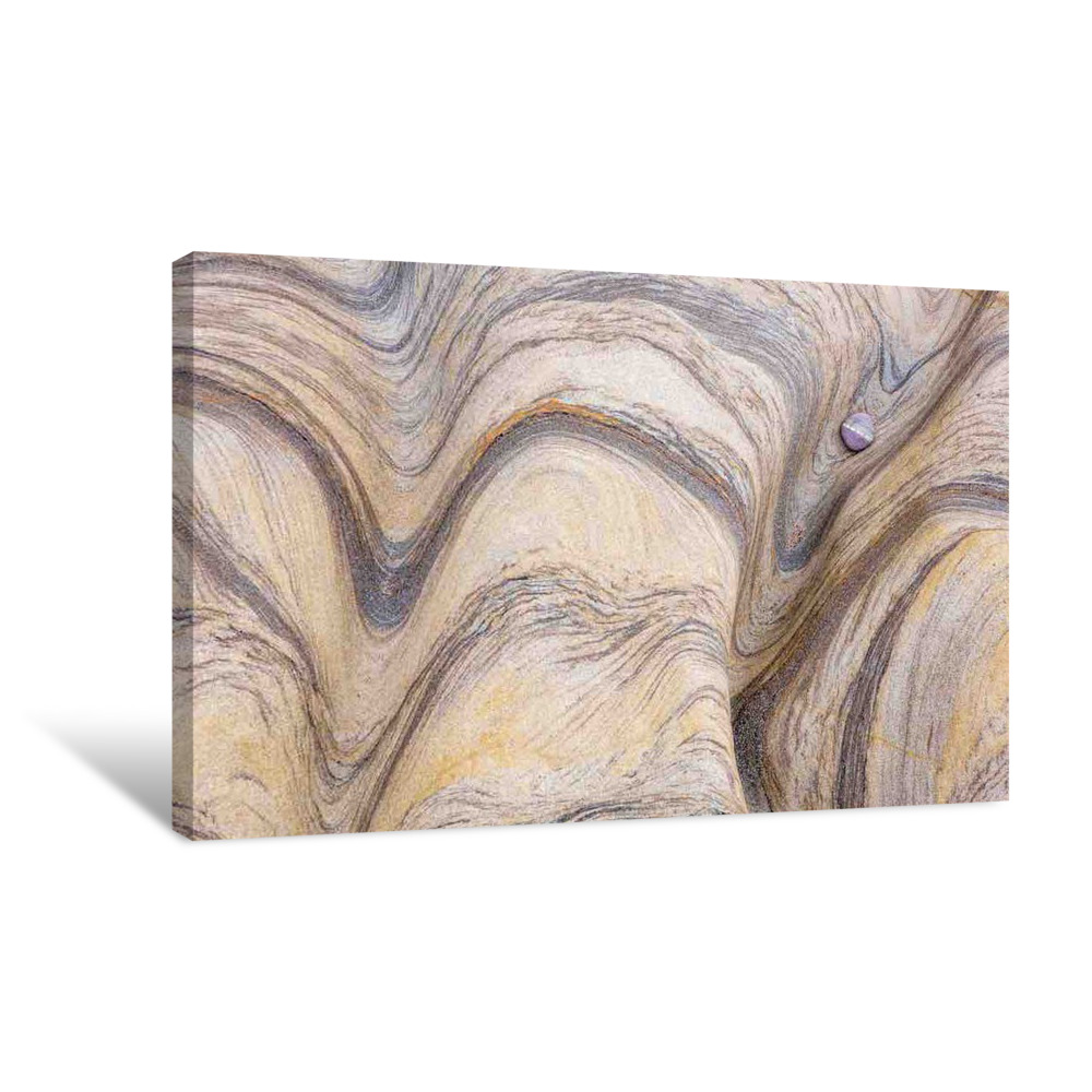 The Passage of Time Canvas Wrap