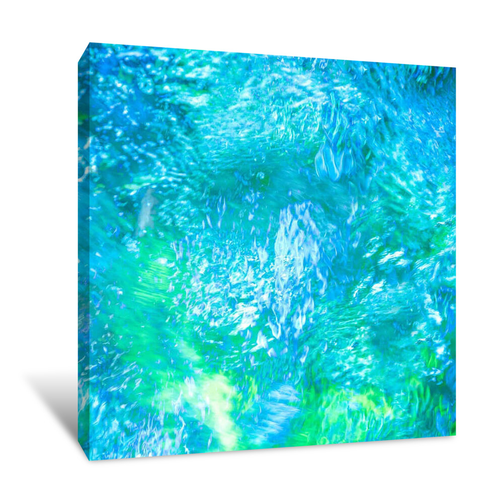Monet's Pool III Canvas Wrap