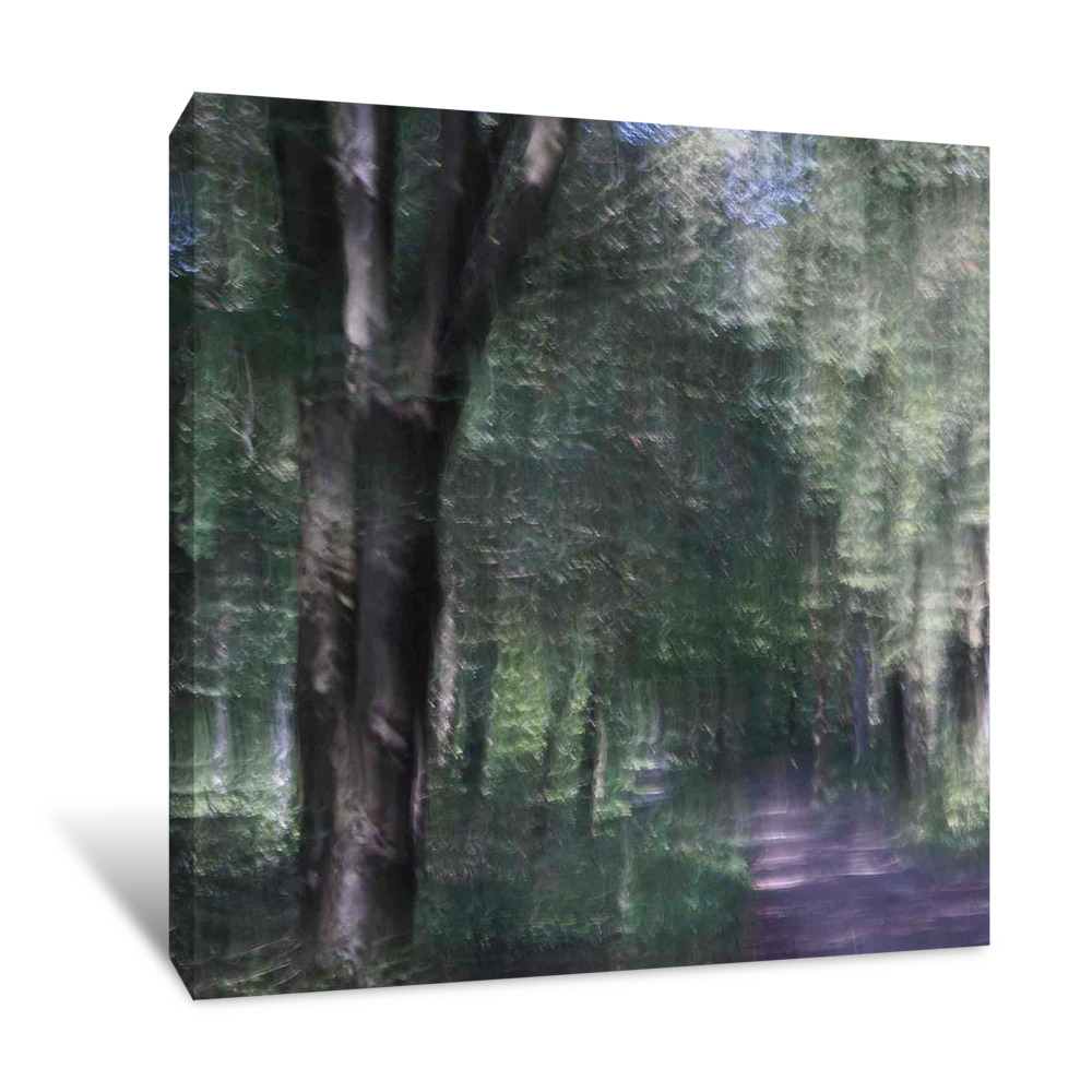 Lightness Canvas Wrap