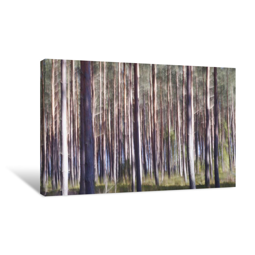 Spring Light I Canvas Wrap