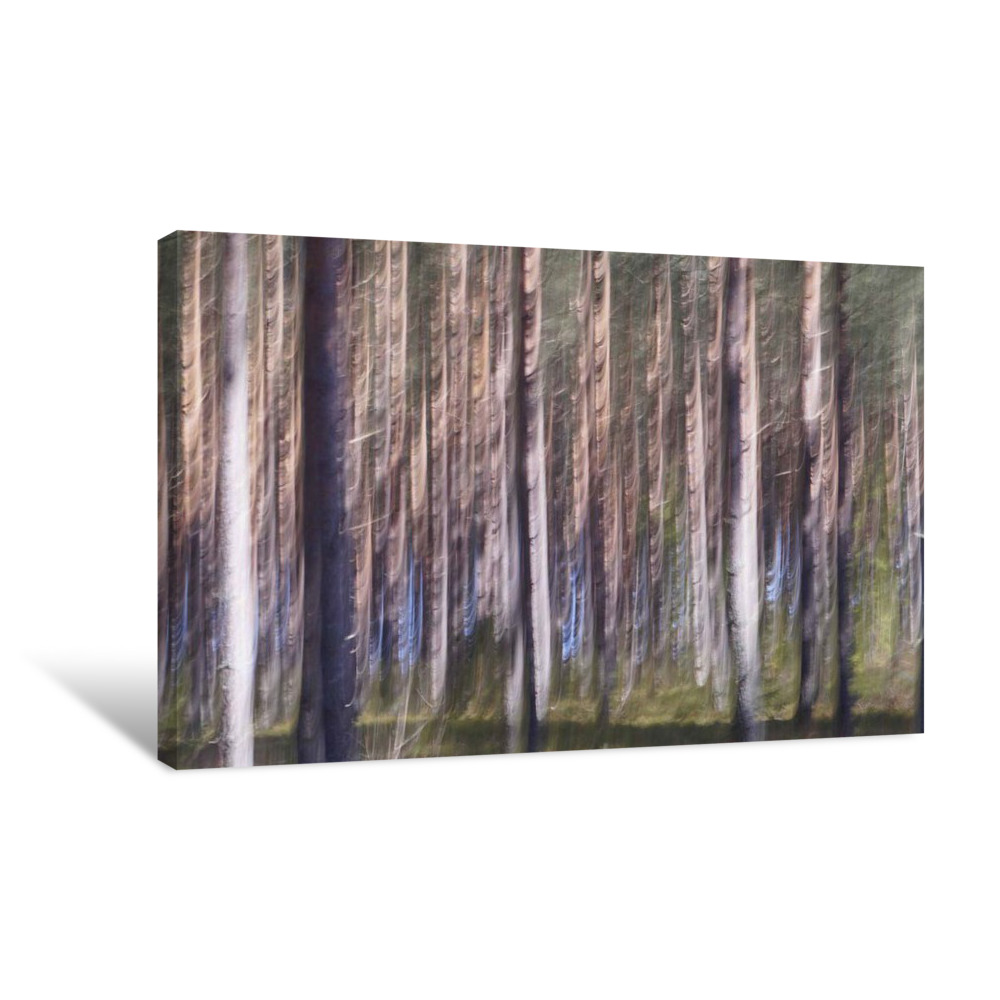 Spring Light III Canvas Wrap