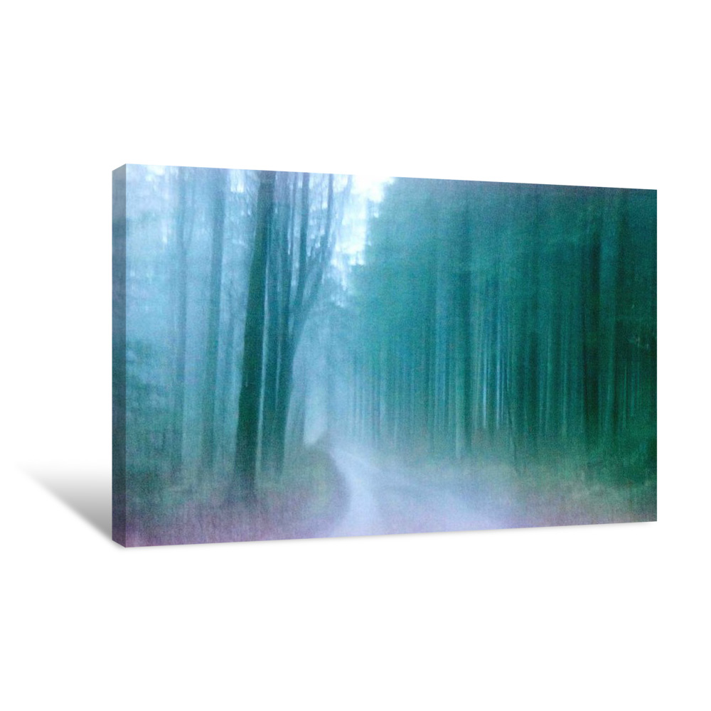 Wandering Memories Canvas Wrap
