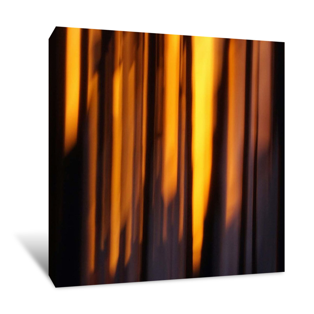 Shrouded 4 Canvas Wrap