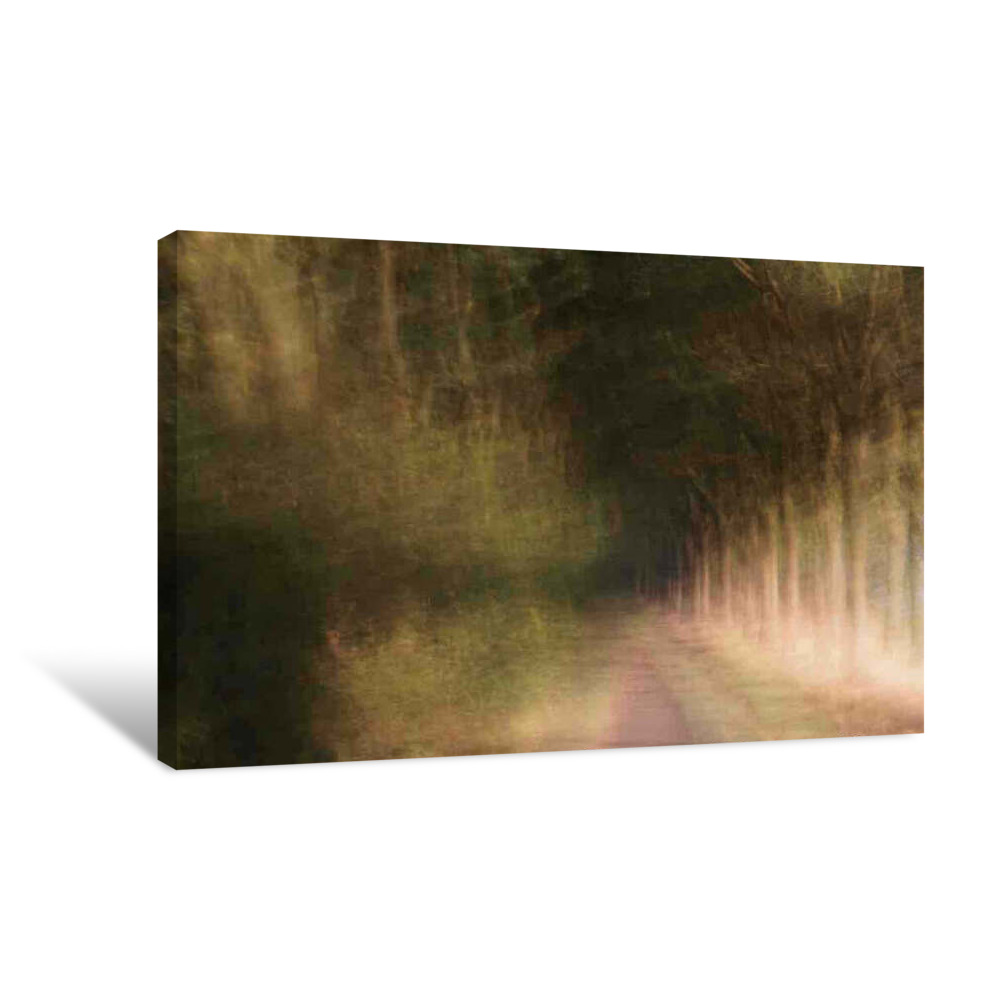 Whispering Stories of Green Canvas Wrap