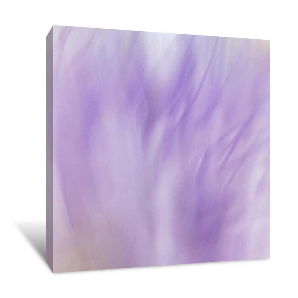 Lavender Fusion Canvas Wrap