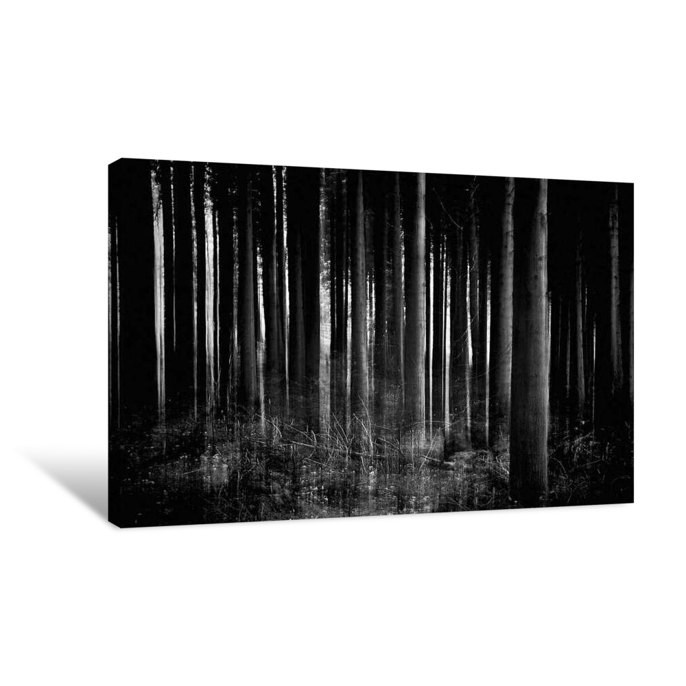 Whispers Canvas Wrap