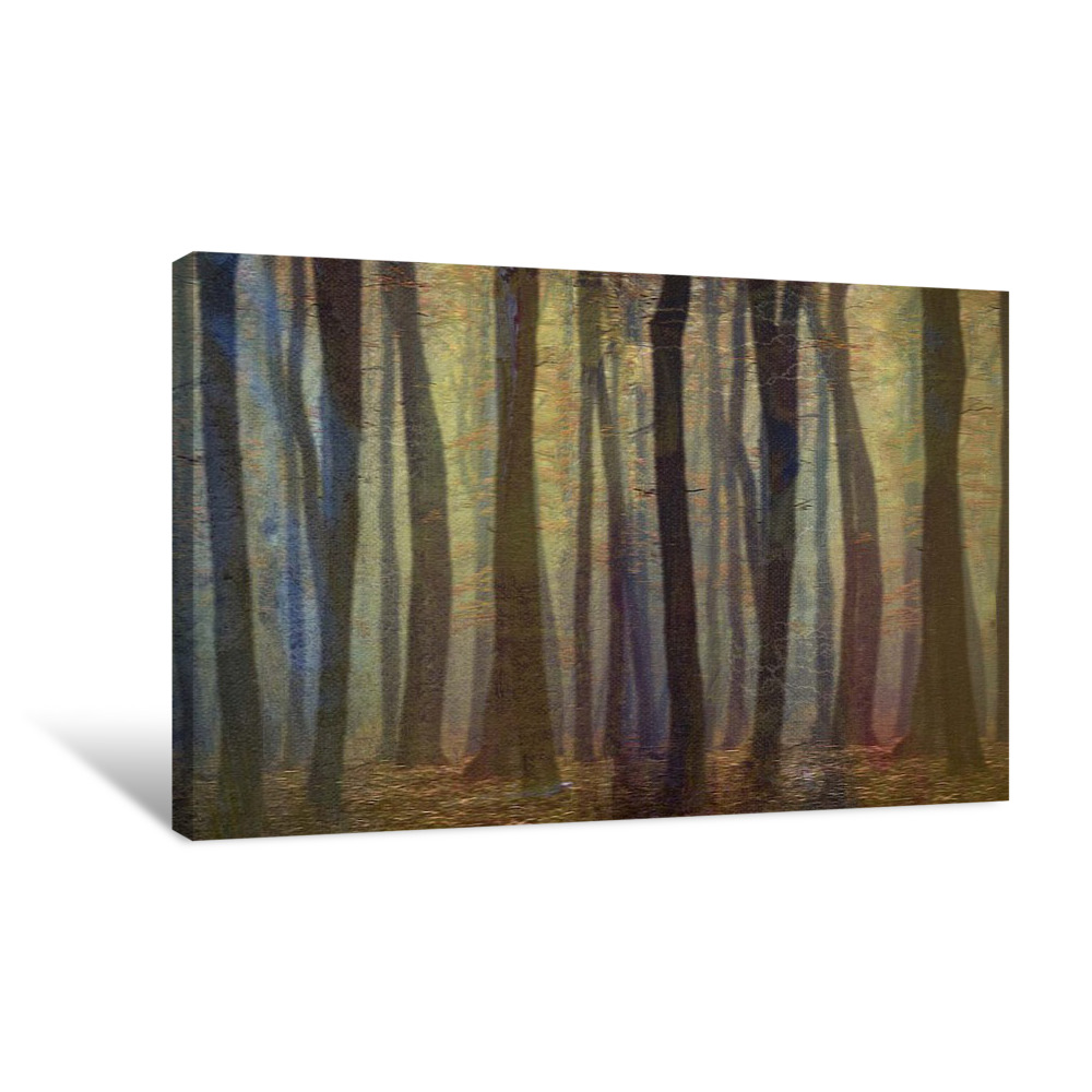 Spring Evening Canvas Wrap