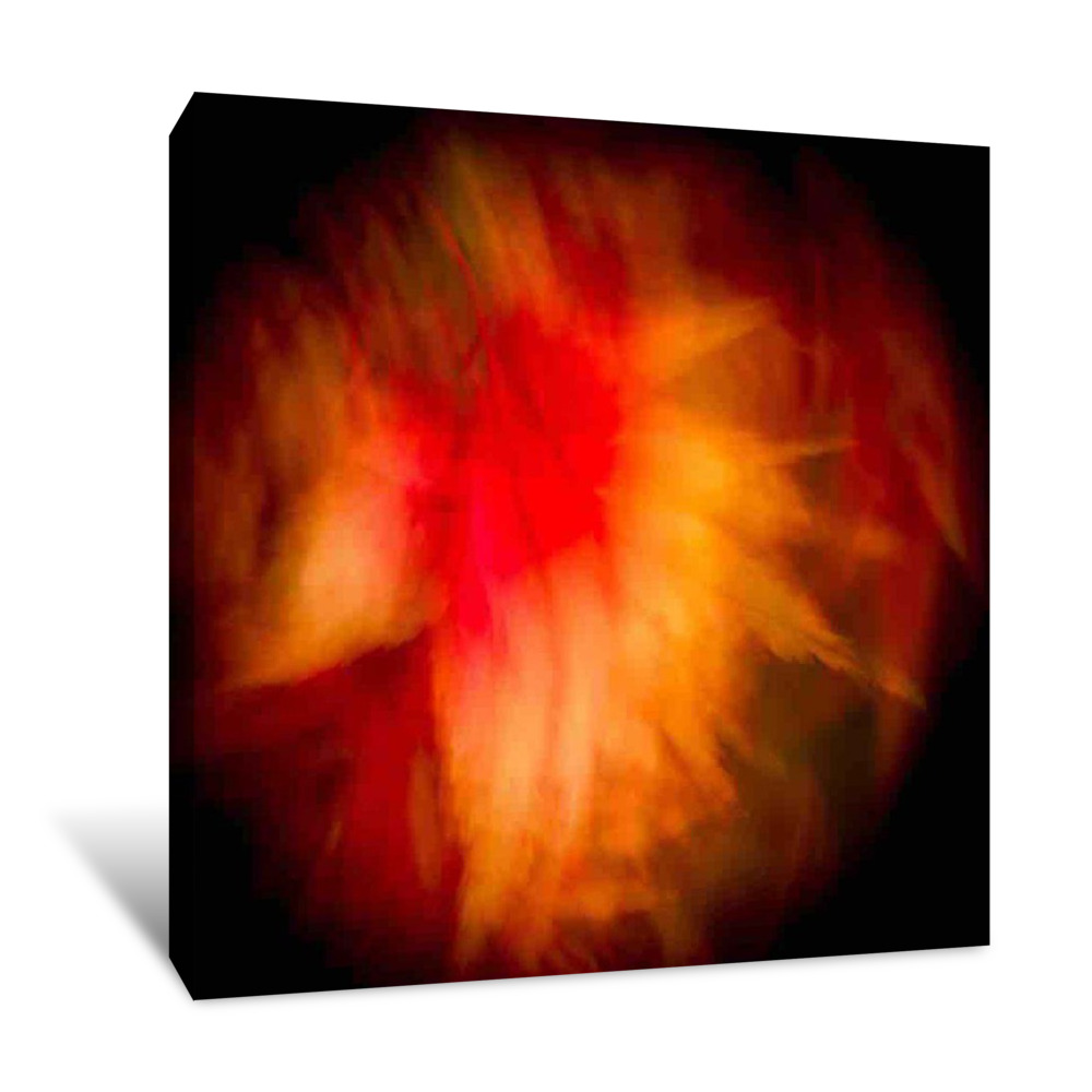 Wings of a Feather Canvas Wrap