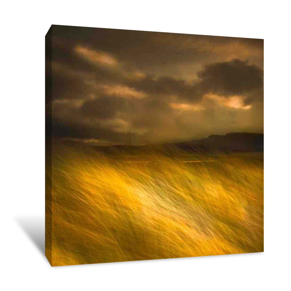 The Land I Love Canvas Wrap