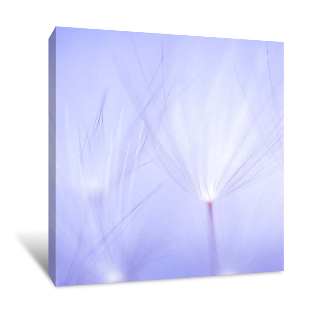 Will-o-the-Wisp Canvas Wrap