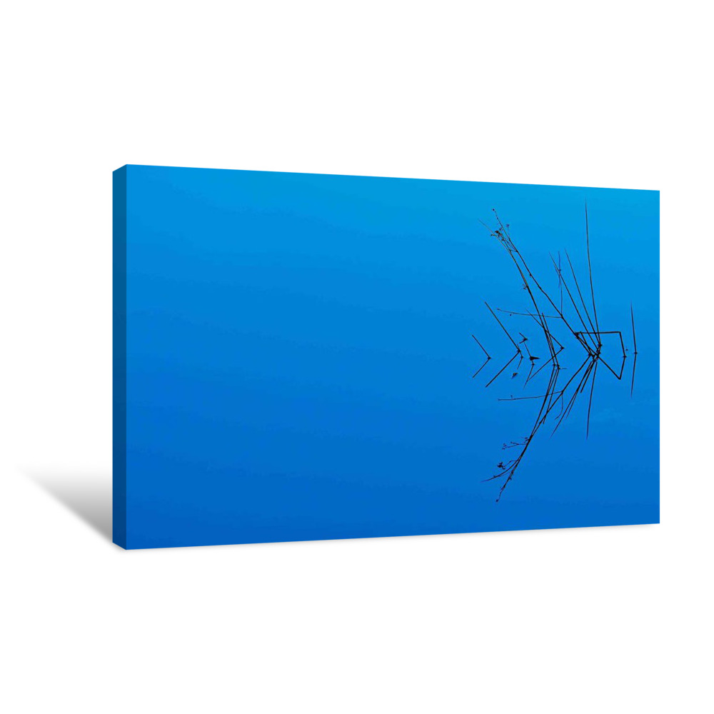 Less Is More Canvas Wrap