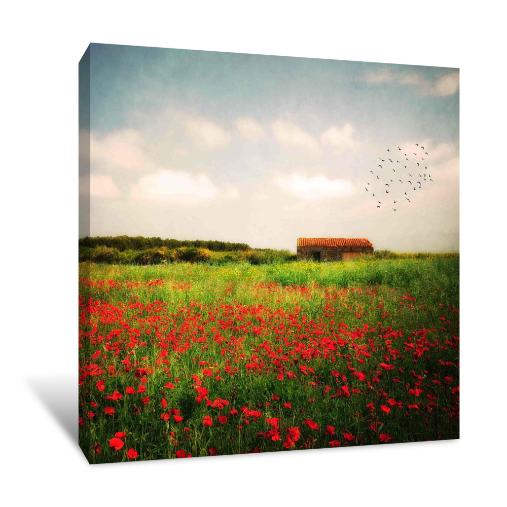 Red Field Canvas Wrap