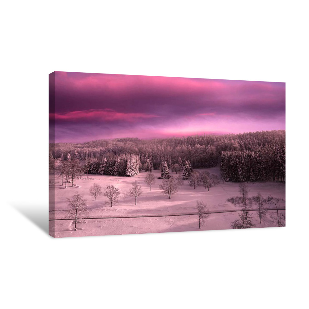Rose Time Canvas Wrap