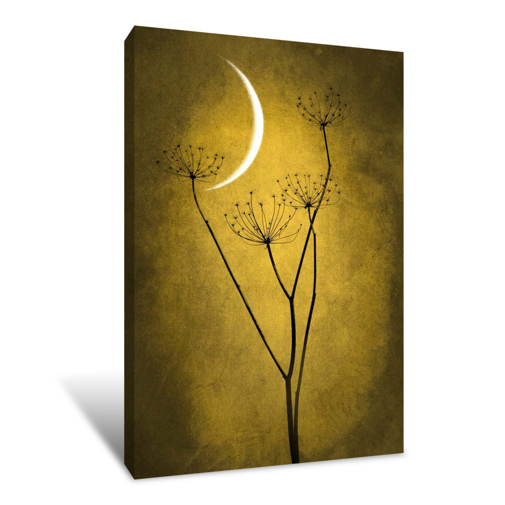 Under The Moon 3 Canvas Wrap