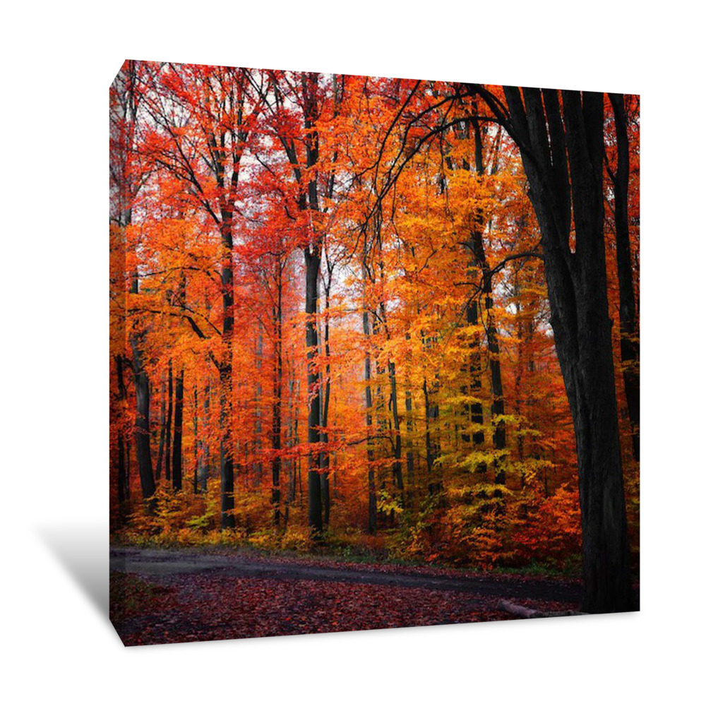 Rainbow Fall Canvas Wrap