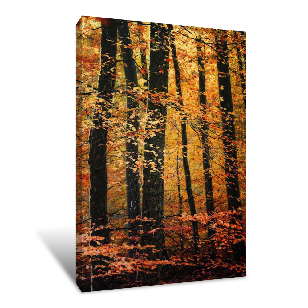 Wind In The Trees Canvas Wrap
