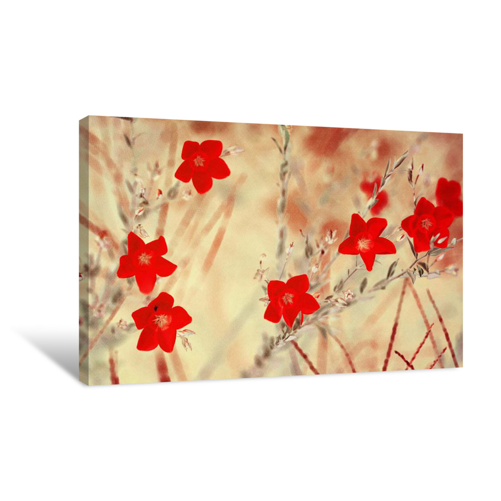 Natural Disorder Canvas Wrap