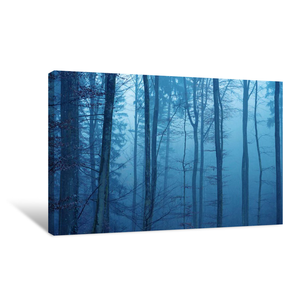 Wrapped in Blue Canvas Wrap