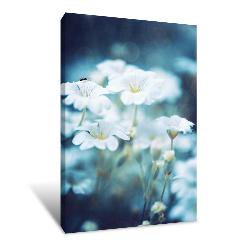 My Blue World Canvas Wrap