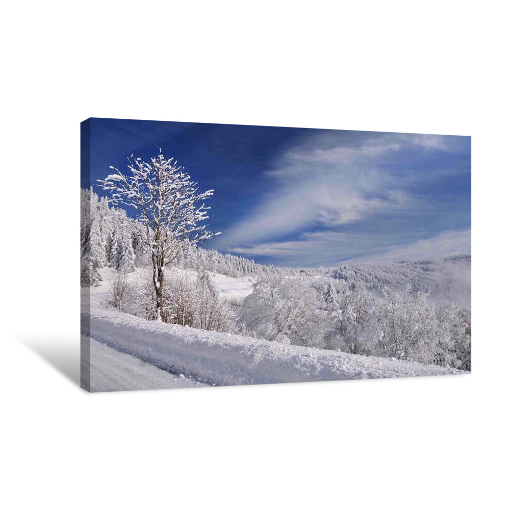 White White World Canvas Wrap