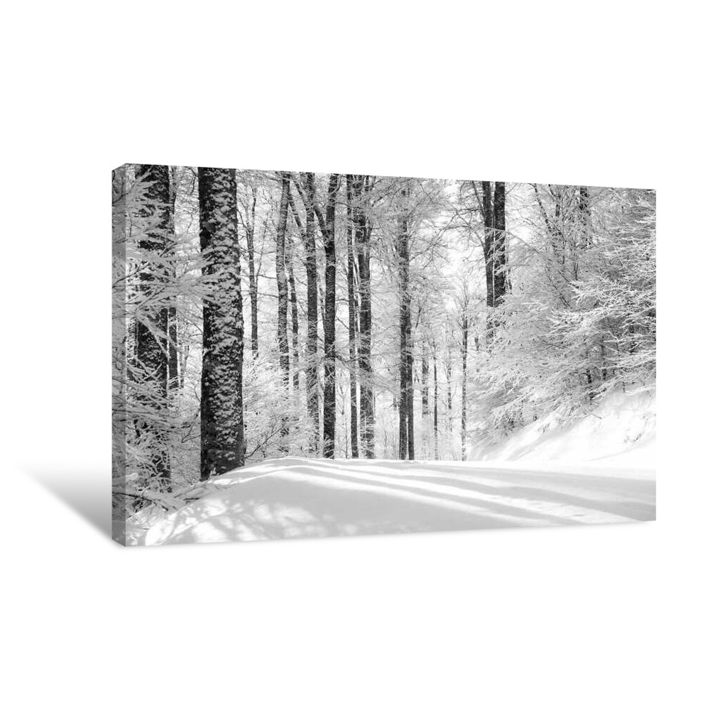 In The White Forest Canvas Wrap