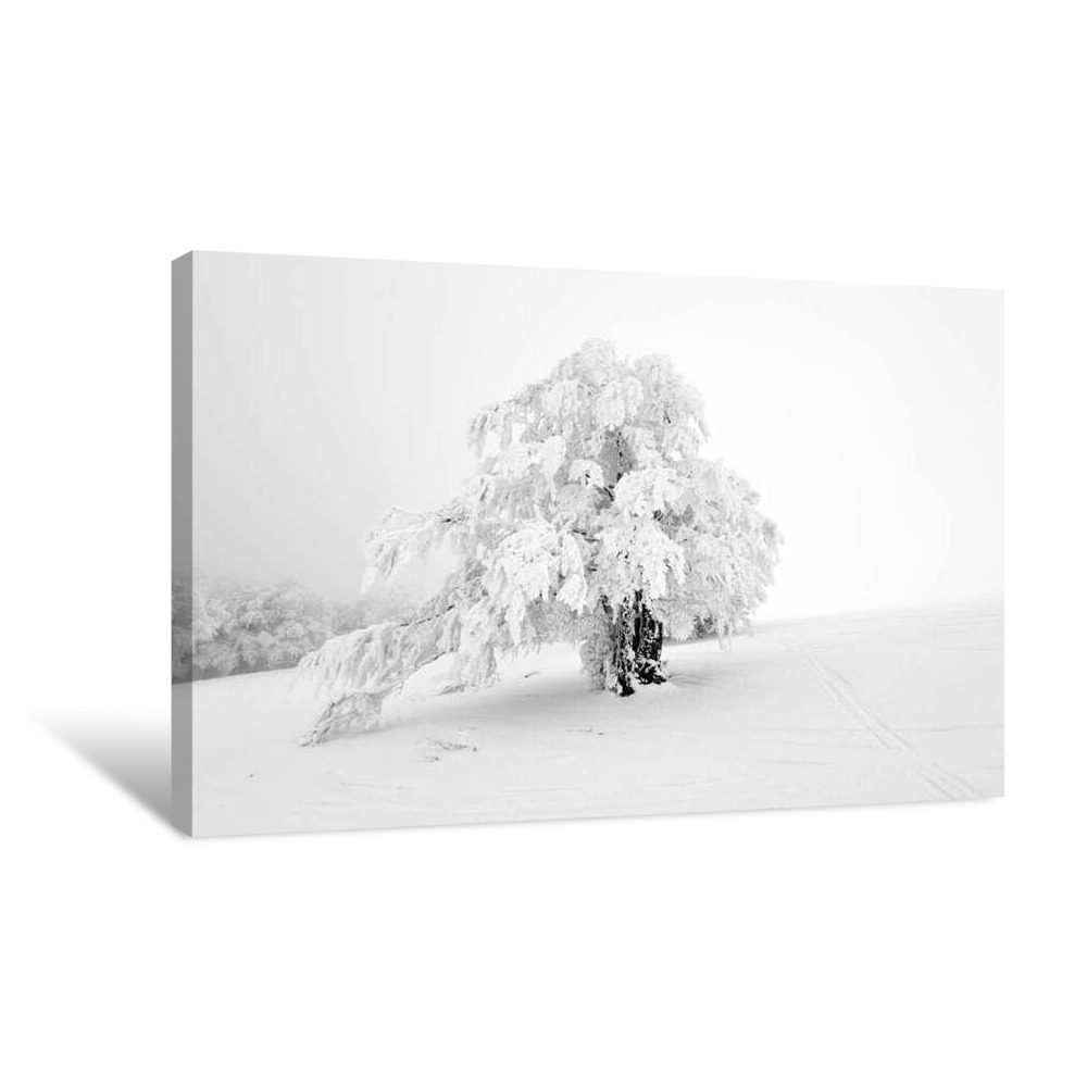 The White Tree Canvas Wrap